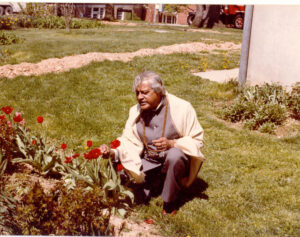 Gururaj in the Garden looking the color of the flowers